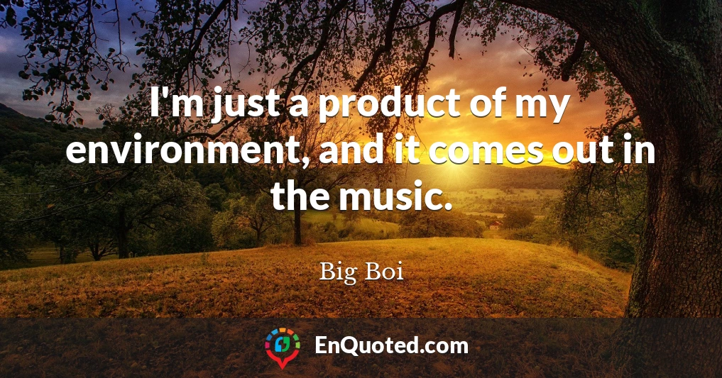 I'm just a product of my environment, and it comes out in the music.