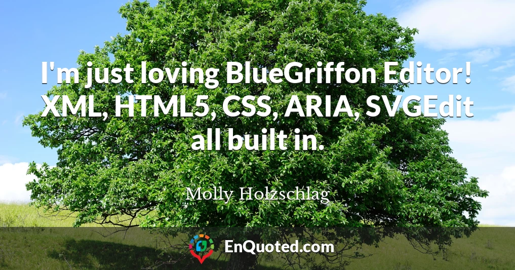 I'm just loving BlueGriffon Editor! XML, HTML5, CSS, ARIA, SVGEdit all built in.