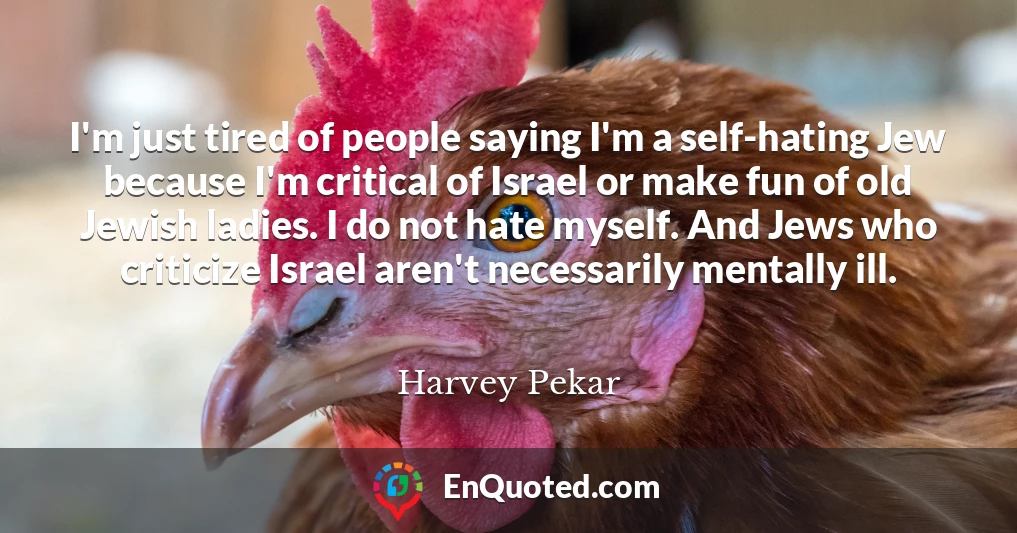 I'm just tired of people saying I'm a self-hating Jew because I'm critical of Israel or make fun of old Jewish ladies. I do not hate myself. And Jews who criticize Israel aren't necessarily mentally ill.