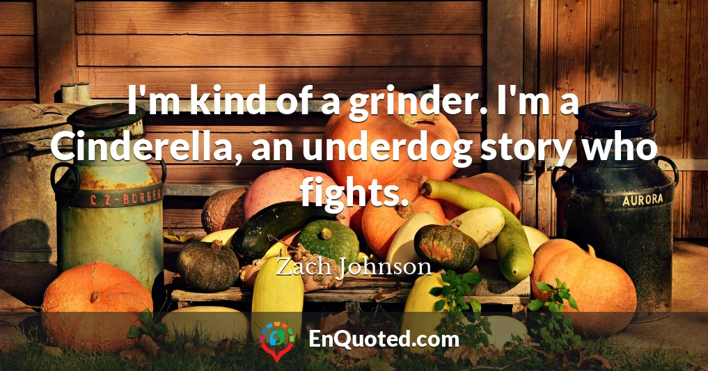 I'm kind of a grinder. I'm a Cinderella, an underdog story who fights.