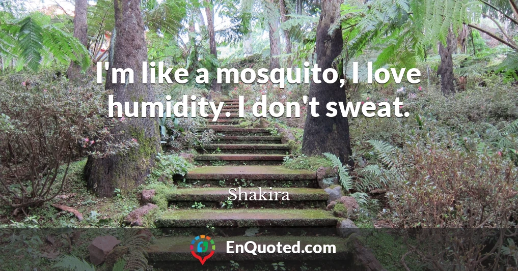I'm like a mosquito, I love humidity. I don't sweat.
