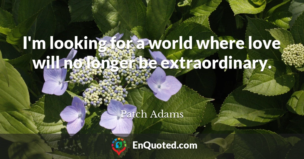 I'm looking for a world where love will no longer be extraordinary.