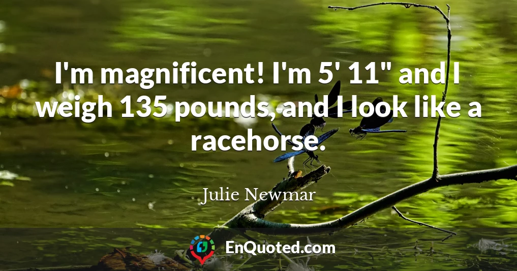 I'm magnificent! I'm 5' 11" and I weigh 135 pounds, and I look like a racehorse.