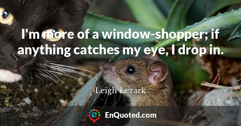 I'm more of a window-shopper; if anything catches my eye, I drop in.