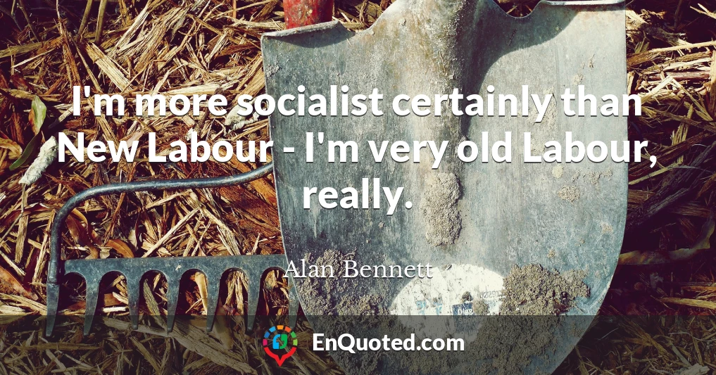 I'm more socialist certainly than New Labour - I'm very old Labour, really.