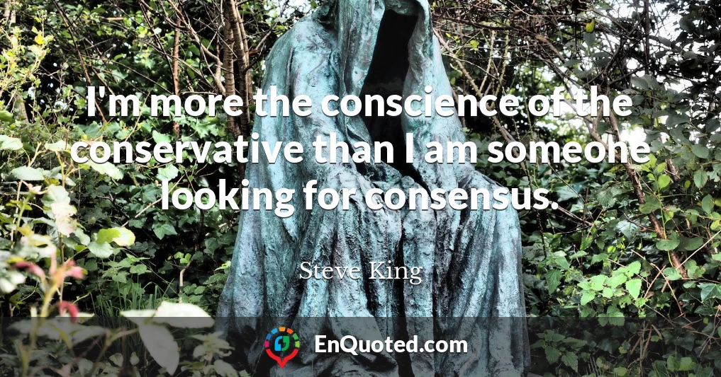I'm more the conscience of the conservative than I am someone looking for consensus.