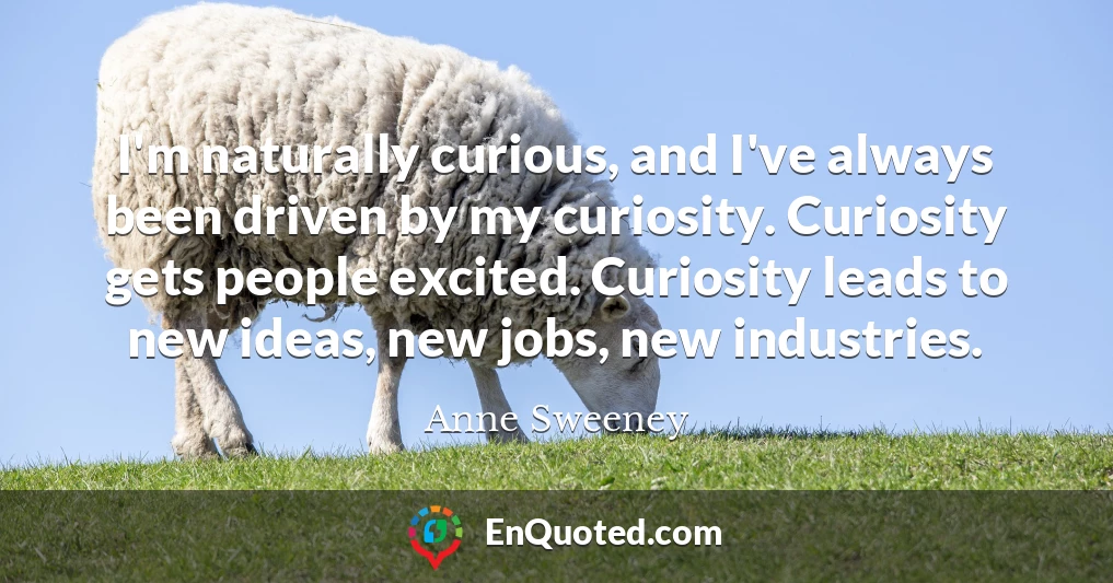 I'm naturally curious, and I've always been driven by my curiosity. Curiosity gets people excited. Curiosity leads to new ideas, new jobs, new industries.