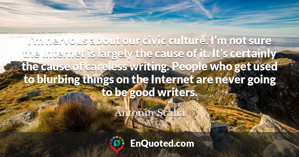 I'm nervous about our civic culture. I'm not sure the Internet is largely the cause of it. It's certainly the cause of careless writing. People who get used to blurbing things on the Internet are never going to be good writers.