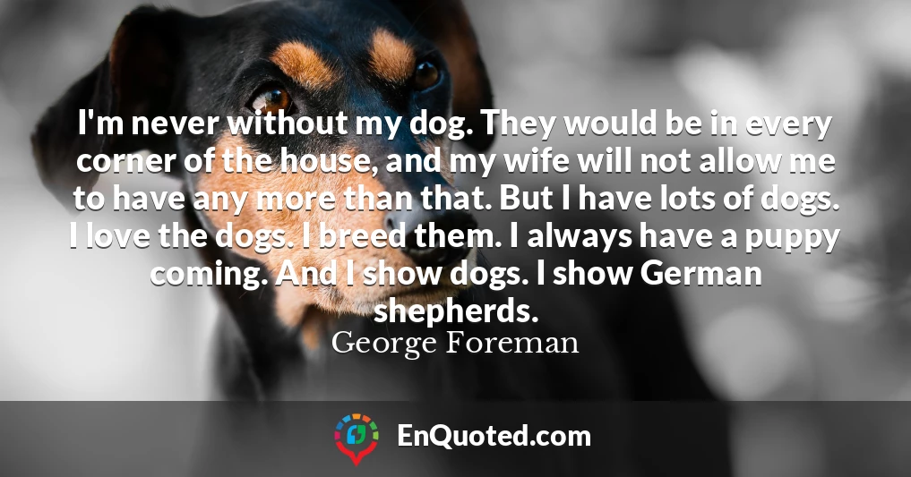 I'm never without my dog. They would be in every corner of the house, and my wife will not allow me to have any more than that. But I have lots of dogs. I love the dogs. I breed them. I always have a puppy coming. And I show dogs. I show German shepherds.