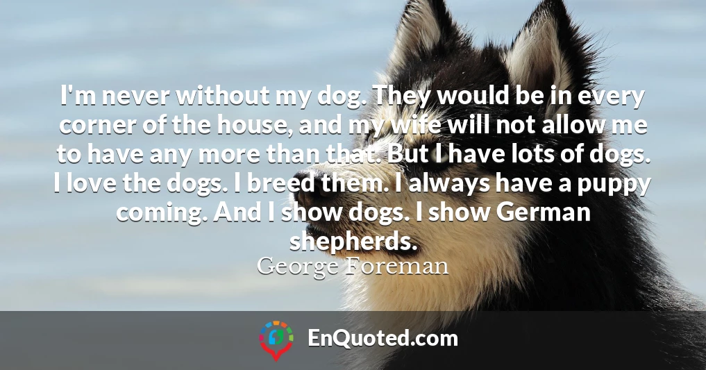 I'm never without my dog. They would be in every corner of the house, and my wife will not allow me to have any more than that. But I have lots of dogs. I love the dogs. I breed them. I always have a puppy coming. And I show dogs. I show German shepherds.