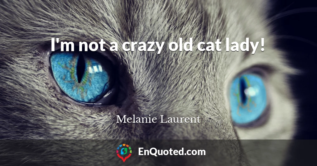 I'm not a crazy old cat lady!