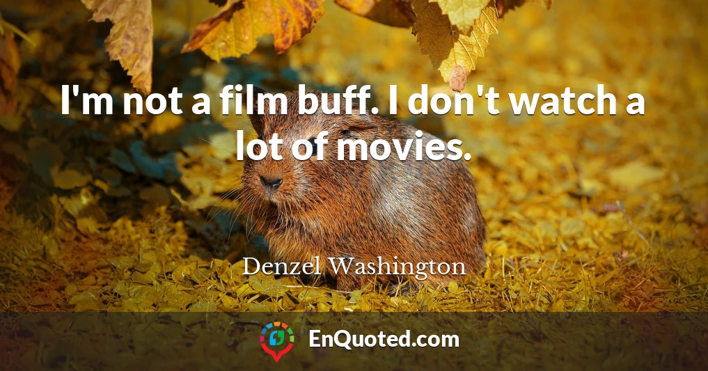 I'm not a film buff. I don't watch a lot of movies.