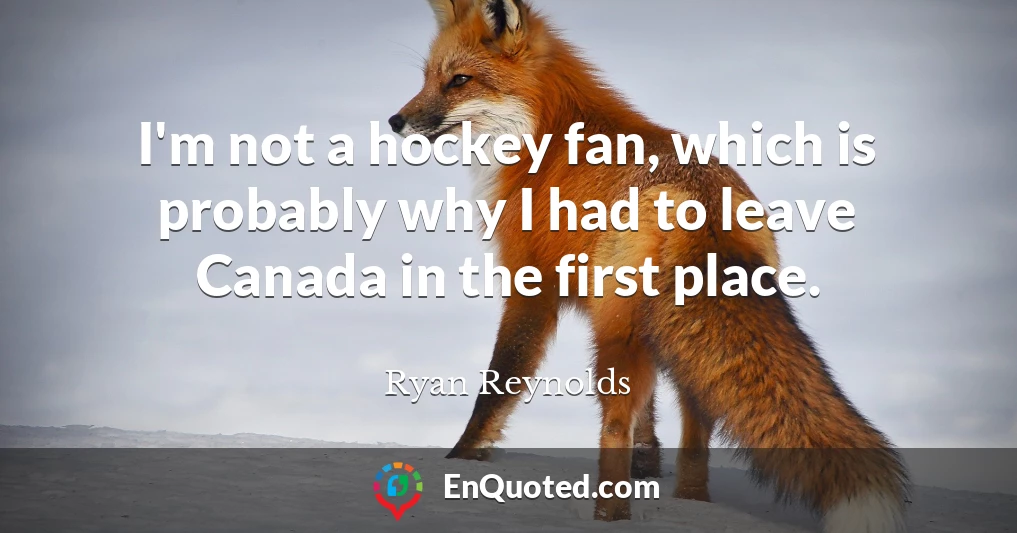 I'm not a hockey fan, which is probably why I had to leave Canada in the first place.