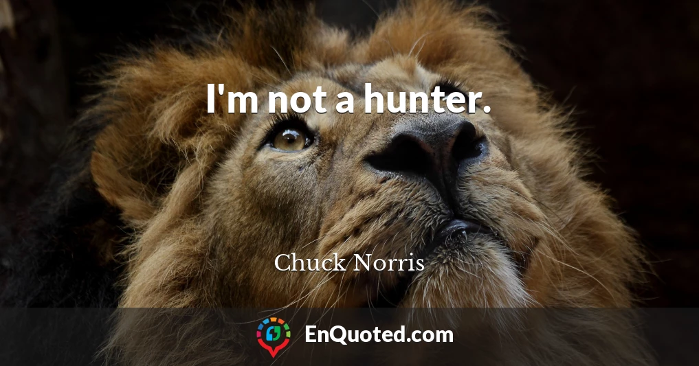 I'm not a hunter.