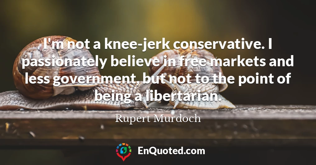 I'm not a knee-jerk conservative. I passionately believe in free markets and less government, but not to the point of being a libertarian.