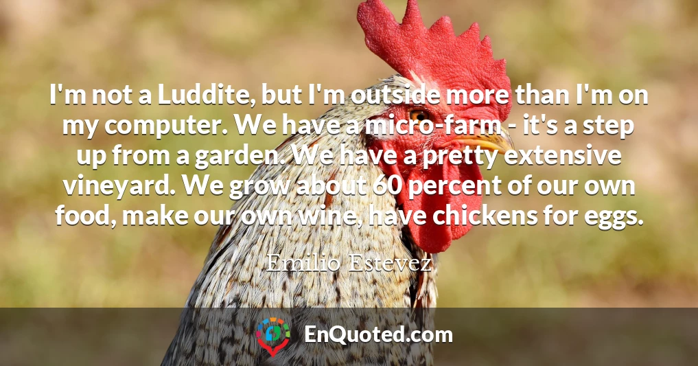 I'm not a Luddite, but I'm outside more than I'm on my computer. We have a micro-farm - it's a step up from a garden. We have a pretty extensive vineyard. We grow about 60 percent of our own food, make our own wine, have chickens for eggs.