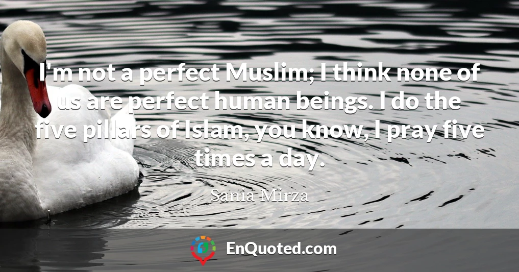 I'm not a perfect Muslim; I think none of us are perfect human beings. I do the five pillars of Islam, you know, I pray five times a day.