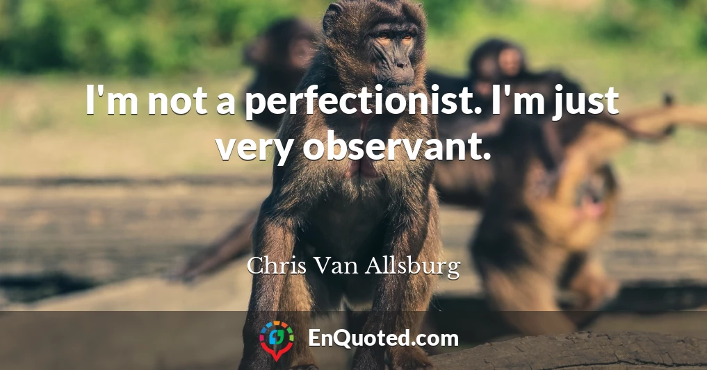 I'm not a perfectionist. I'm just very observant.