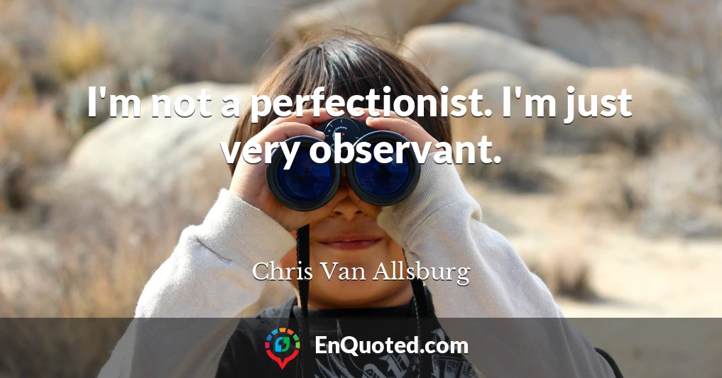 I'm not a perfectionist. I'm just very observant.