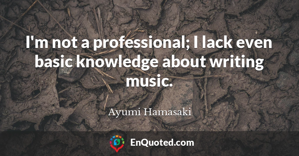 I'm not a professional; I lack even basic knowledge about writing music.