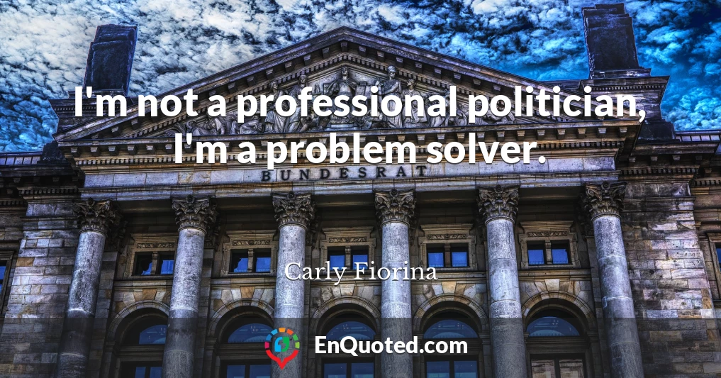 I'm not a professional politician, I'm a problem solver.