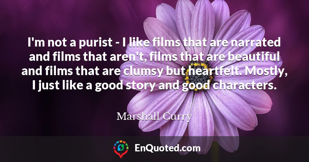 I'm not a purist - I like films that are narrated and films that aren't, films that are beautiful and films that are clumsy but heartfelt. Mostly, I just like a good story and good characters.