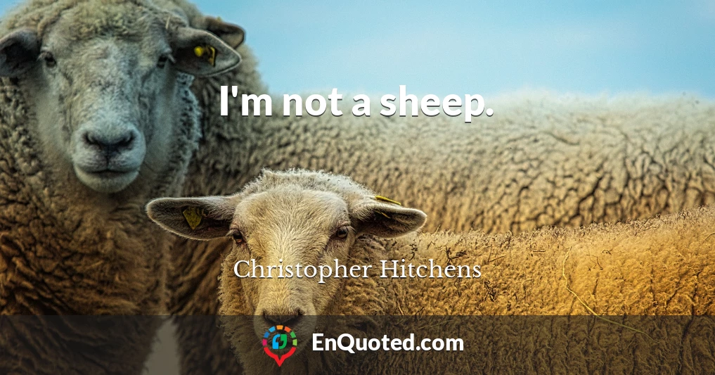 I'm not a sheep.