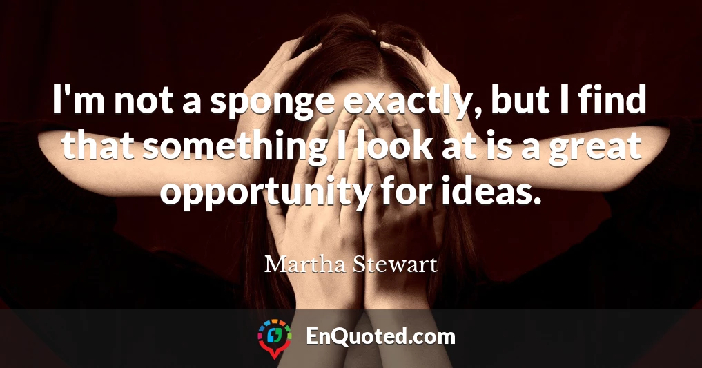 I'm not a sponge exactly, but I find that something I look at is a great opportunity for ideas.