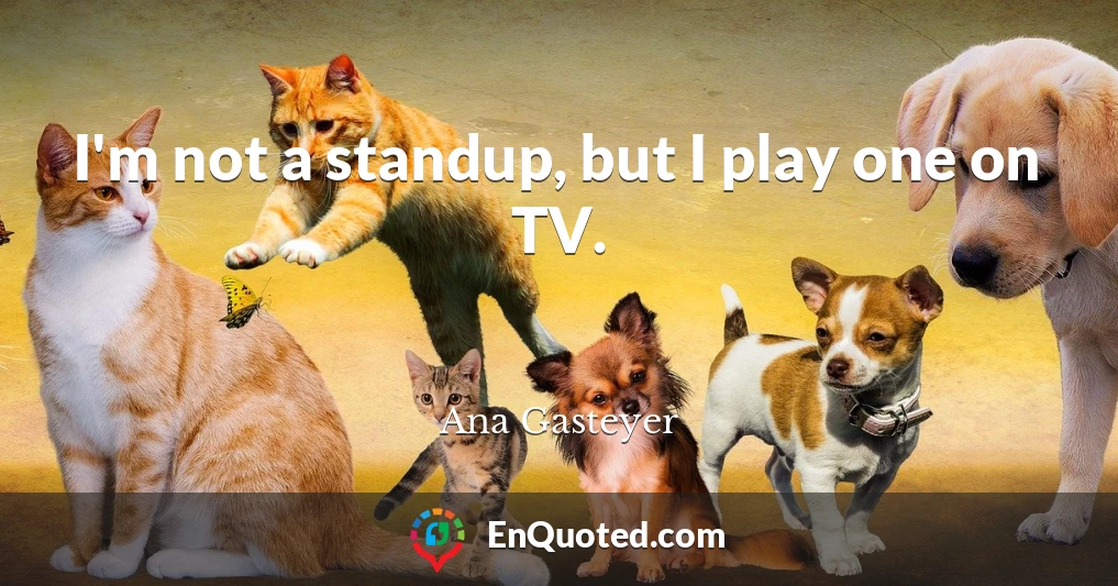 I'm not a standup, but I play one on TV.