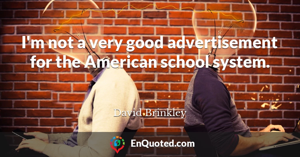 I'm not a very good advertisement for the American school system.