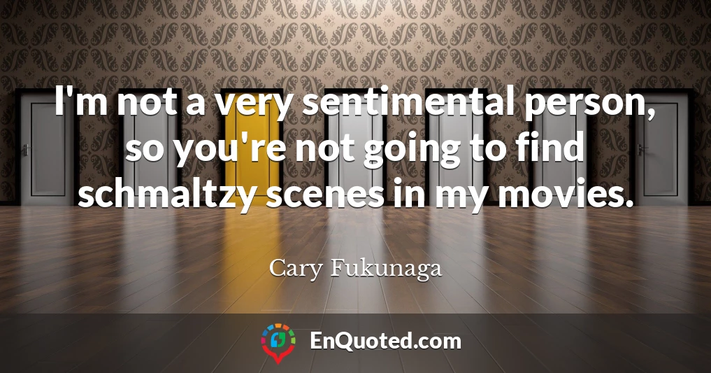 I'm not a very sentimental person, so you're not going to find schmaltzy scenes in my movies.