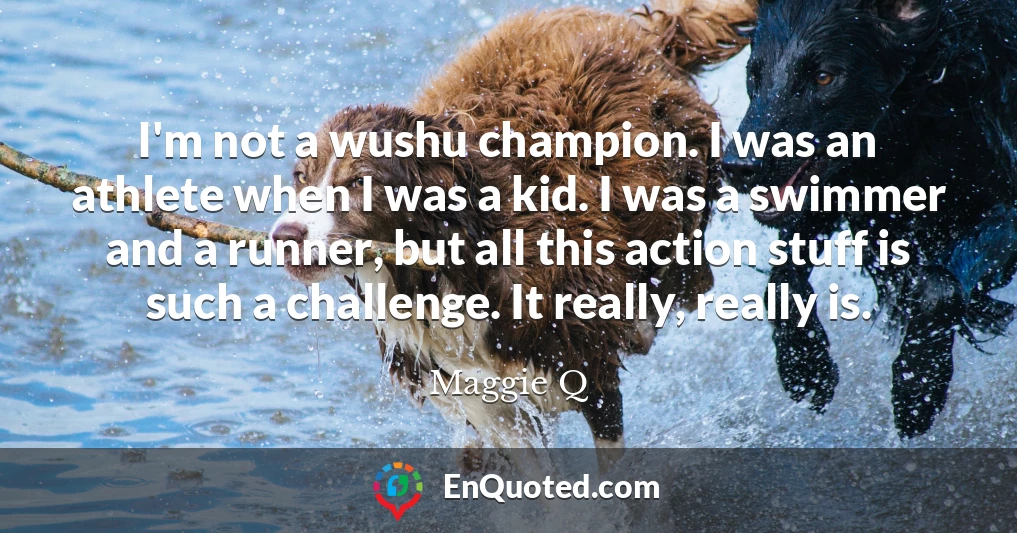 I'm not a wushu champion. I was an athlete when I was a kid. I was a swimmer and a runner, but all this action stuff is such a challenge. It really, really is.