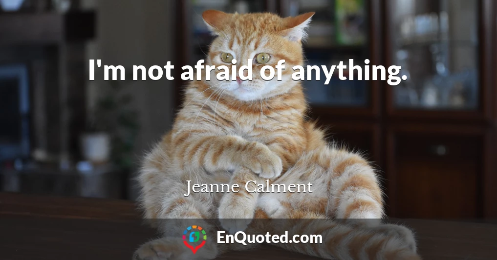 I'm not afraid of anything.