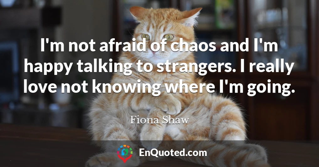 I'm not afraid of chaos and I'm happy talking to strangers. I really love not knowing where I'm going.