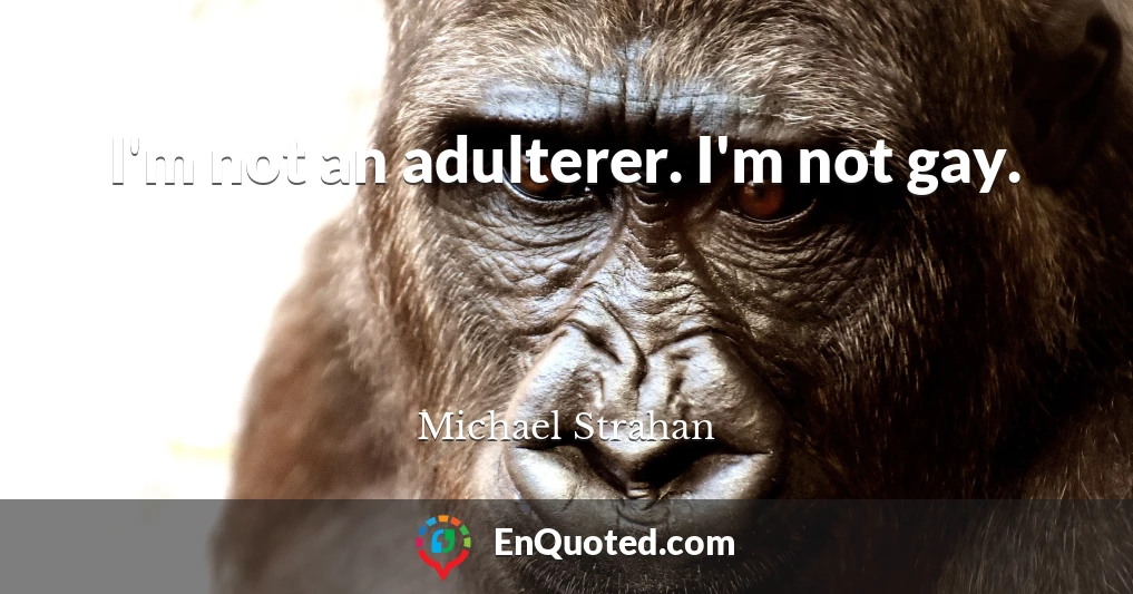 I'm not an adulterer. I'm not gay.