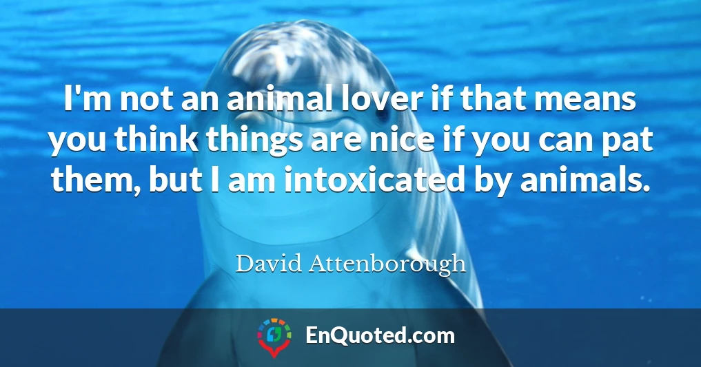 I'm not an animal lover if that means you think things are nice if you can pat them, but I am intoxicated by animals.