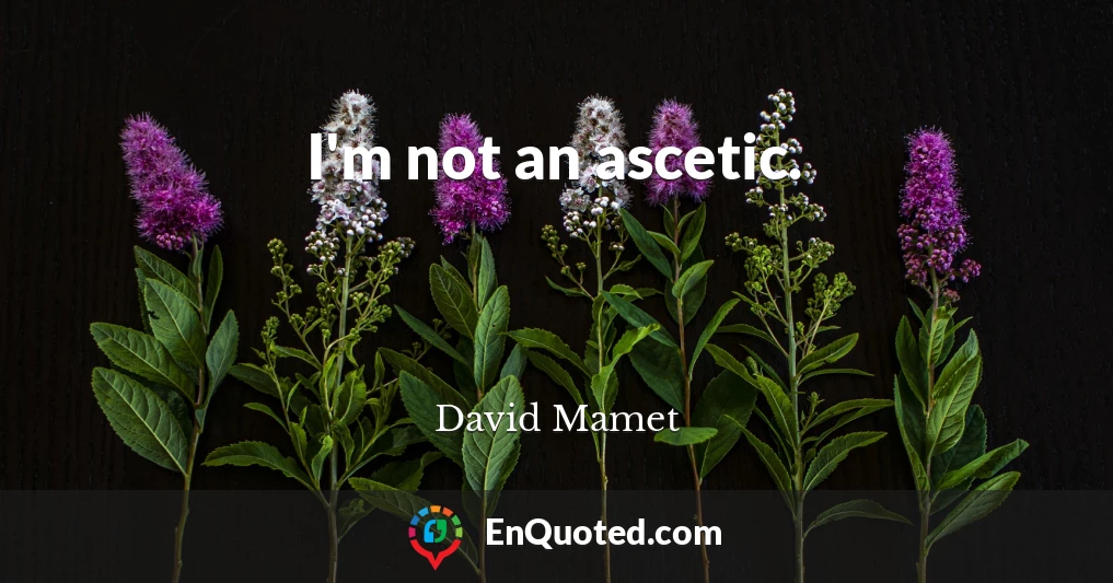 I'm not an ascetic.