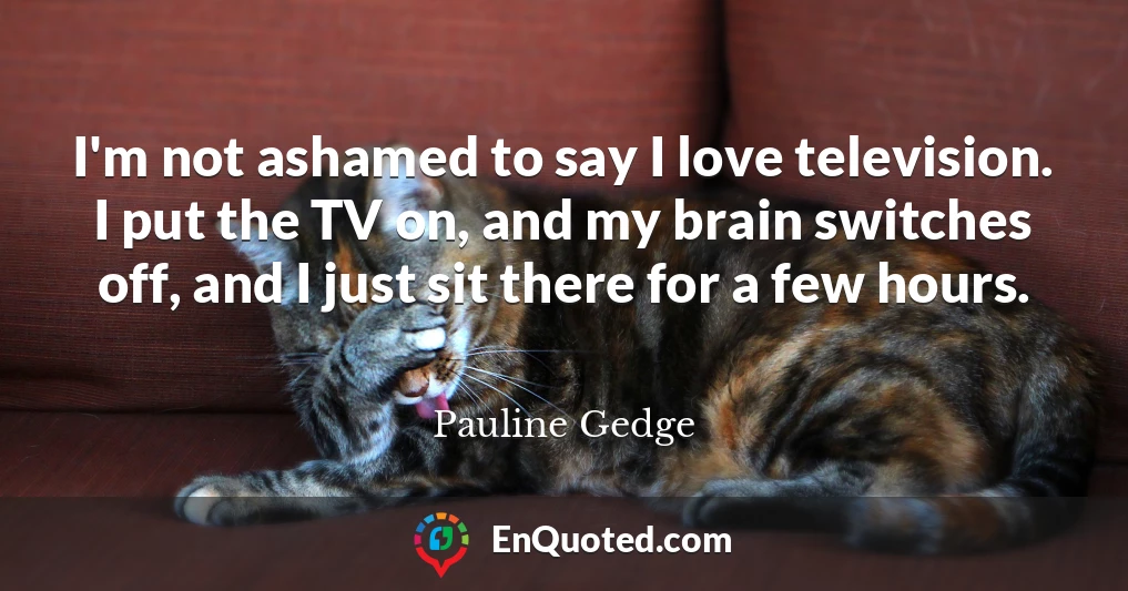 I'm not ashamed to say I love television. I put the TV on, and my brain switches off, and I just sit there for a few hours.