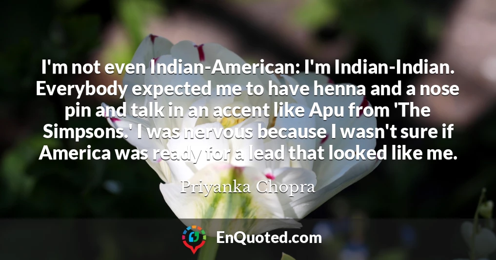 I'm not even Indian-American: I'm Indian-Indian. Everybody expected me to have henna and a nose pin and talk in an accent like Apu from 'The Simpsons.' I was nervous because I wasn't sure if America was ready for a lead that looked like me.