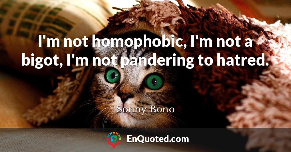 I'm not homophobic, I'm not a bigot, I'm not pandering to hatred.