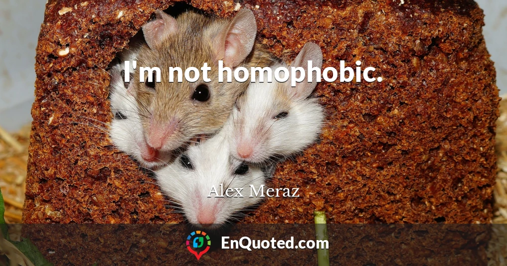 I'm not homophobic.
