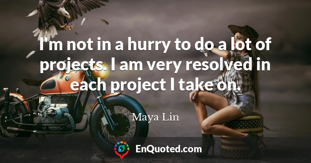 I'm not in a hurry to do a lot of projects. I am very resolved in each project I take on.