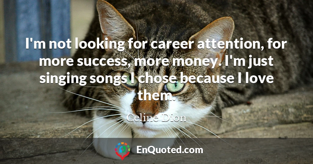 I'm not looking for career attention, for more success, more money. I'm just singing songs I chose because I love them.