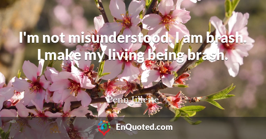 I'm not misunderstood. I am brash. I make my living being brash.
