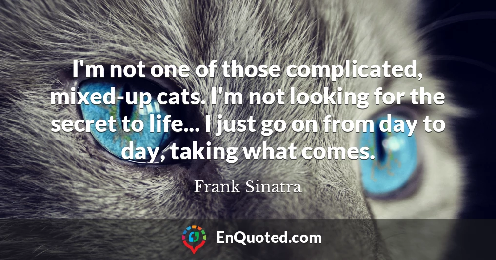 I'm not one of those complicated, mixed-up cats. I'm not looking for the secret to life... I just go on from day to day, taking what comes.