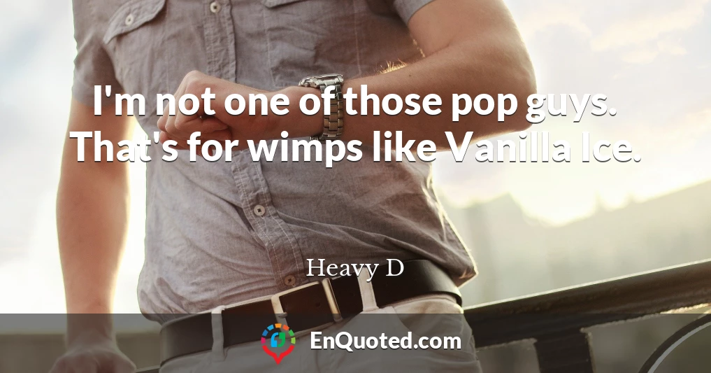 I'm not one of those pop guys. That's for wimps like Vanilla Ice.