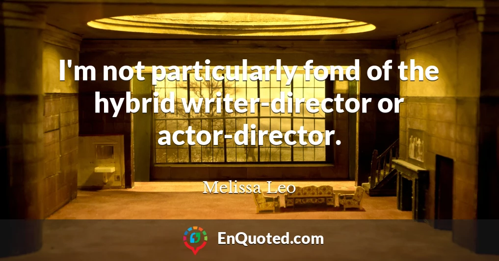 I'm not particularly fond of the hybrid writer-director or actor-director.