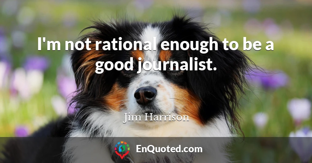 I'm not rational enough to be a good journalist.