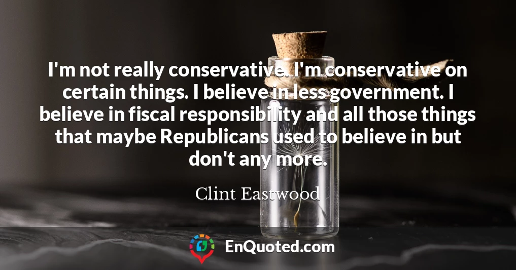 I'm not really conservative. I'm conservative on certain things. I believe in less government. I believe in fiscal responsibility and all those things that maybe Republicans used to believe in but don't any more.
