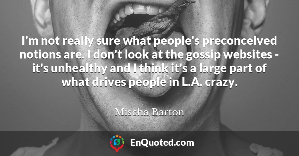 I'm not really sure what people's preconceived notions are. I don't look at the gossip websites - it's unhealthy and I think it's a large part of what drives people in L.A. crazy.